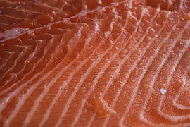 salmon3 salmon