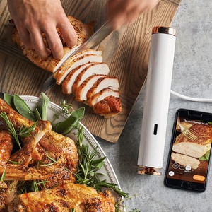 JouleSurLaTable Joule with food