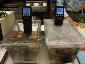 sousvidesafe_500px Sous Vide Circulators at work: VacMaster Vacuum Sealer Reviews: The Best Models for Home Use