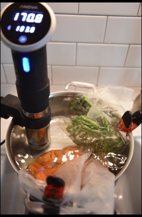 SousVideInPot Sous Vide food cooking