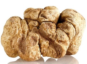 TruffleMushroom Rational Kitchen 2019 Ultimate Gift Guide truffle mushroom