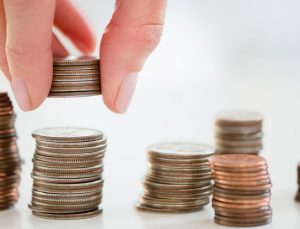 CoinStacks A Guide to the Best Food Dehydrators