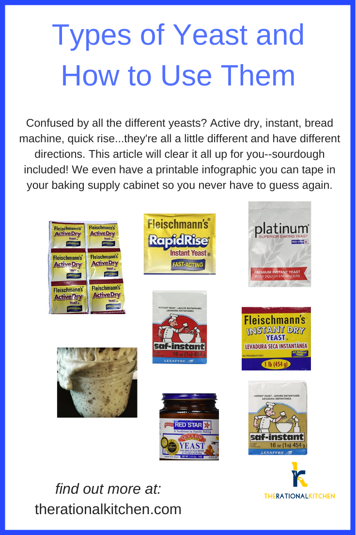 YeastInfographicPinterest Types of Yeast Pinterest