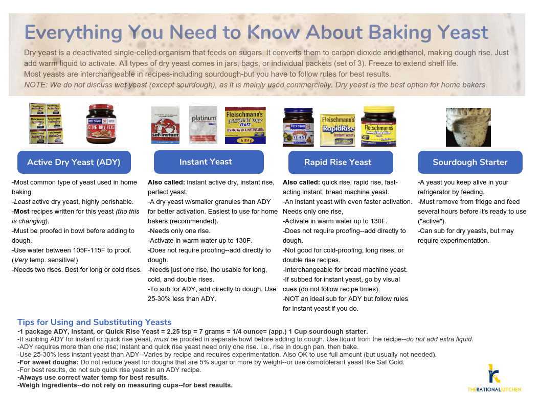 d4ac9772-06df-4e84-9e36-2f24fec0e47e (1) Baking Yeast Infographic
