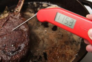 Thermapen in Steak Thermapen in Steak
