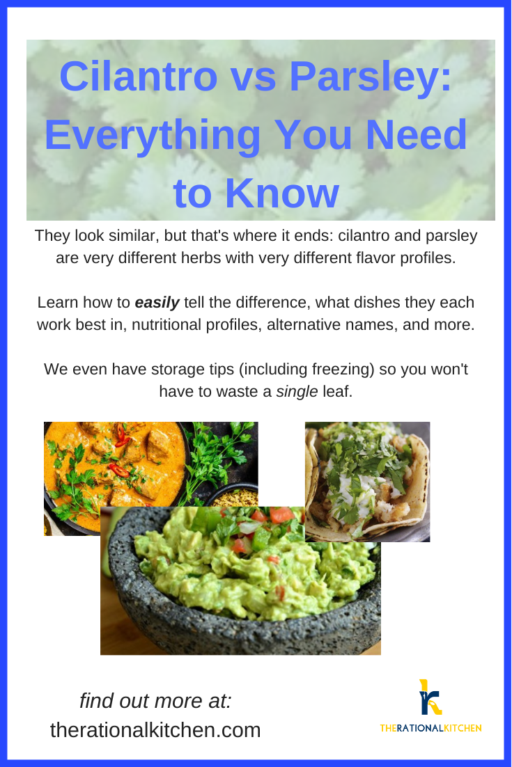 Parsley Vs Cilantro Cilantro vs Parsley Pinterest