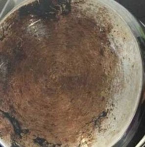 Rusty Stainless Steel Pan Rusty Stainless Steel Pan