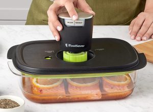 FoodSaver FS2160 Handheld with Marinade Container FoodSaver FS2160 Handheld with Marinade Container