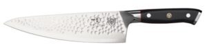 Dalstrong Shogun Chef knife Dalstrong Shogun Chef knife